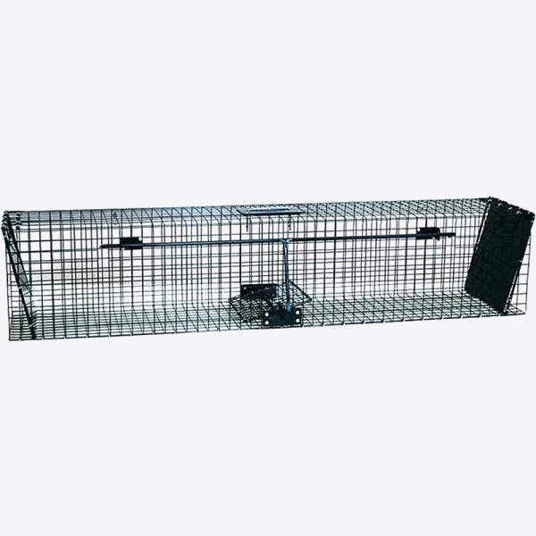 Cage Piège de Capture Pour Chat