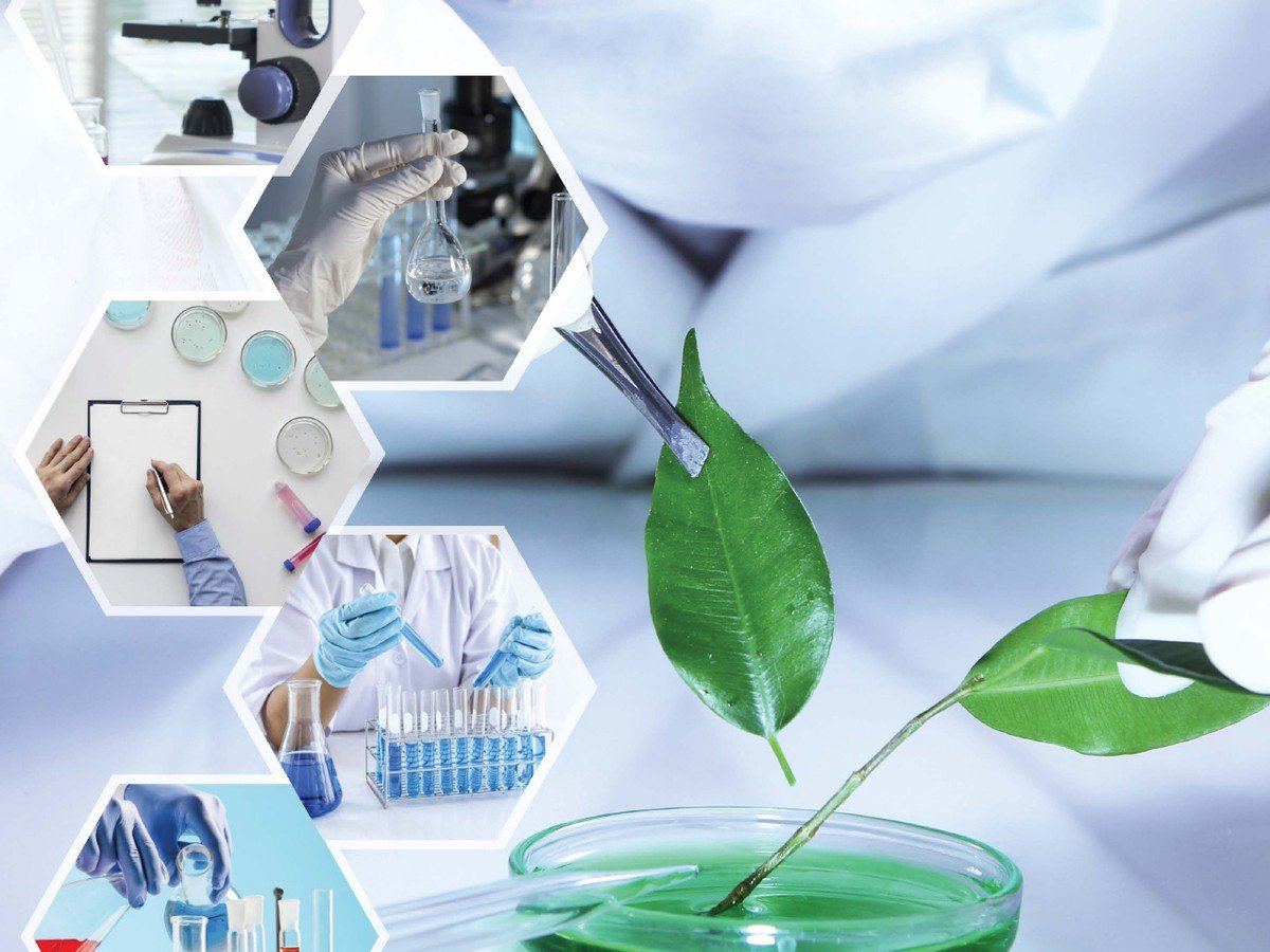 Formulation et contrôle des produits LTH